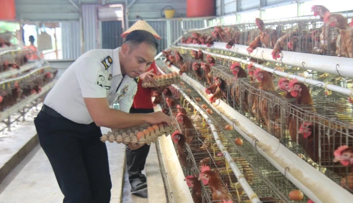 Lapas Pekanbaru Produksi 300 Butir Telur Ayam per-Hari