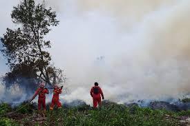 Bengkalis Bersiap Hadapi Karhutla, Status Siaga Darurat Segera Ditetapkan