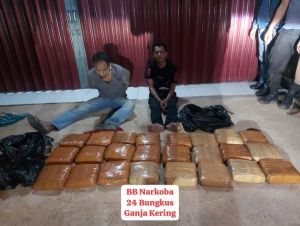 Bareskrim Gagalkan Penyelundupan 23 Kg Ganja di Rokan Hulu, Dua Kurir Ditangkap