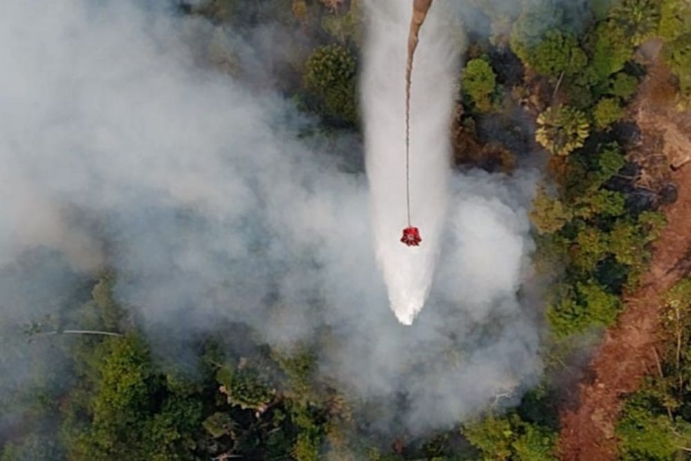 213 Titik Hotspot di Bengkalis, Pemerintah Kerahkan Helikopter Water Bombing dan Alat Berat