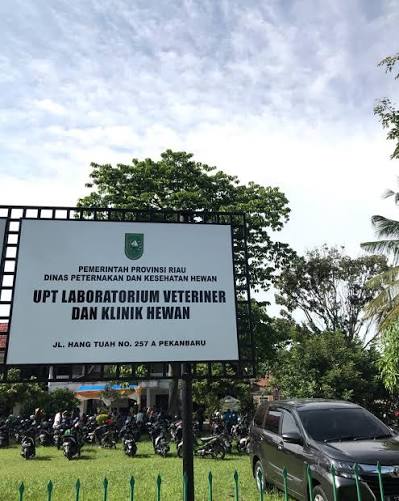 Gratis 500 Dosis, Dinas PKH Riau Gelar Vaksinasi Rabies Mulai 2 Juli 2026