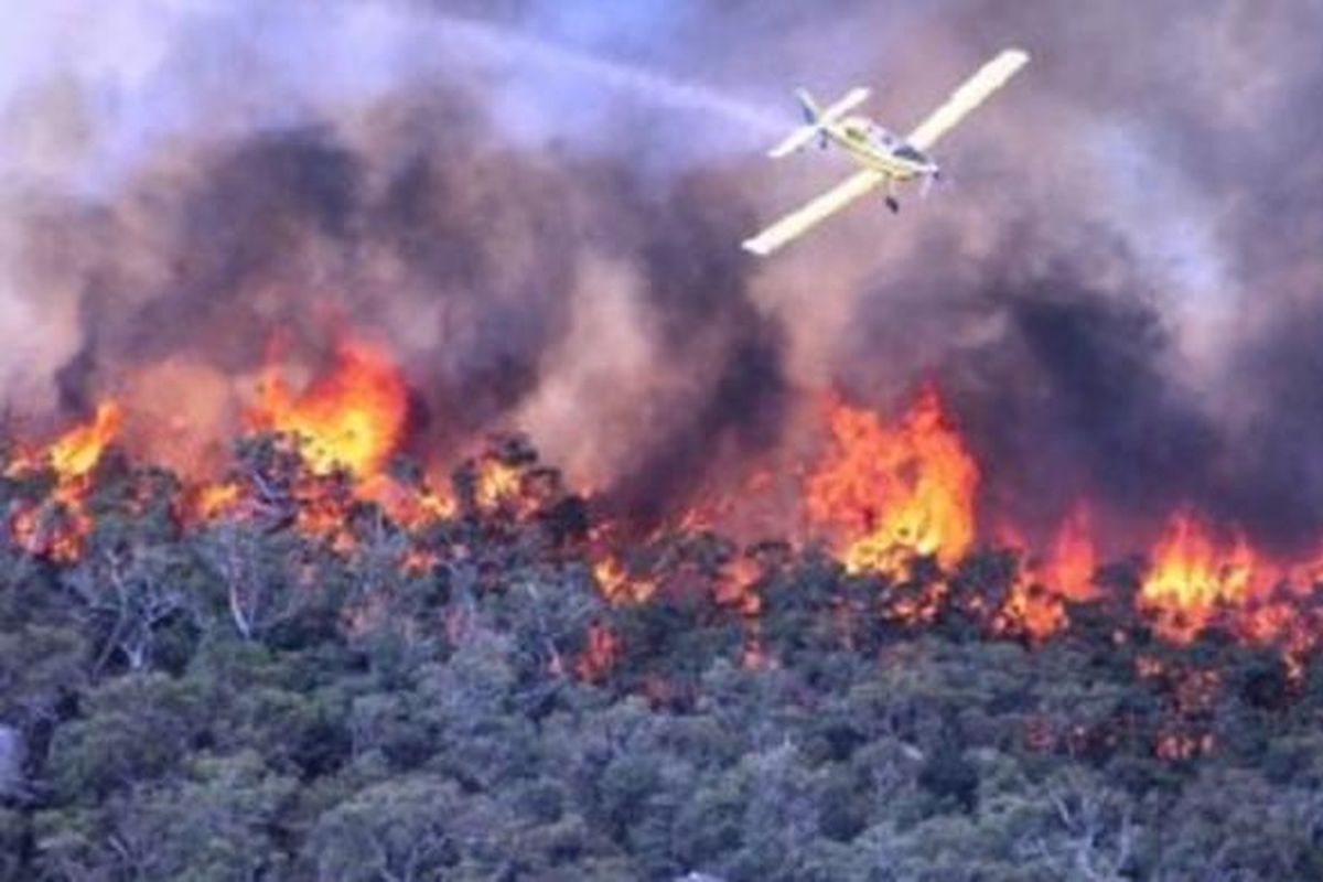Bahayanya Kebakaran Hutan dan Lahan di Riau