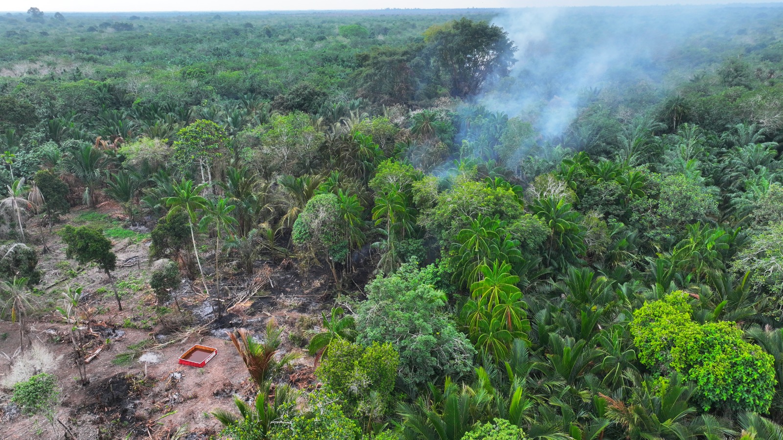 Pensiunan 79 Tahun Jadi Tersangka Karhutla di Bengkalis, Lahan 1 Hektare Ludes Terbakar